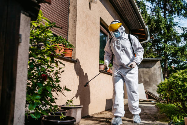Best Pest Control Near Me  in Roma, TX