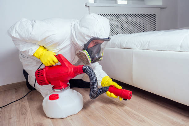 Best Exterminator Services  in Roma, TX