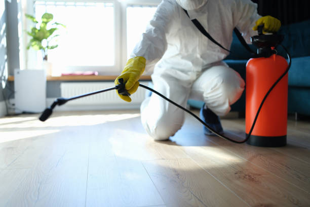 Pest Control Cost in Roma, TX