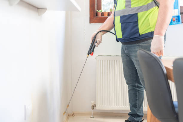 Best Affordable Pest Control Services  in Roma, TX
