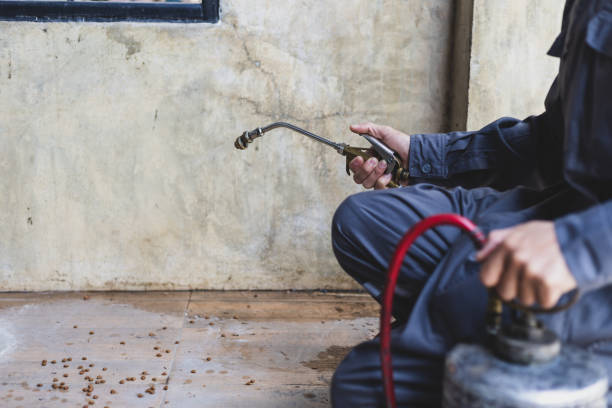 Best Pest Control Cost  in Roma, TX
